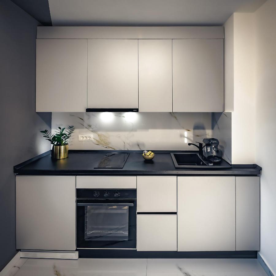 Central Luxury Home Τιμισοάρα Εξωτερικό φωτογραφία